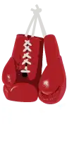 Logo Boxe Grenoble